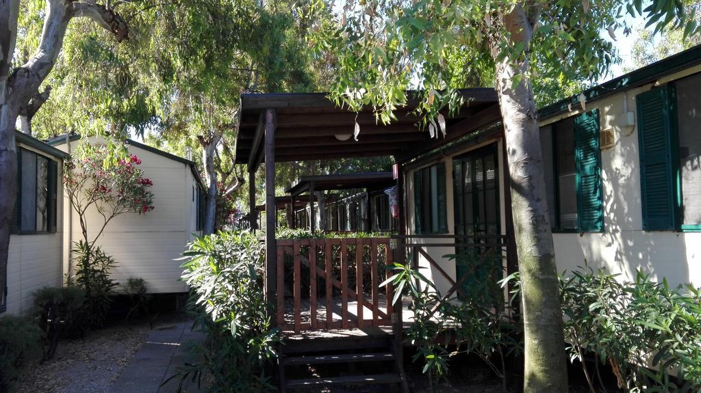 Mobile Home,407436441:JPEG