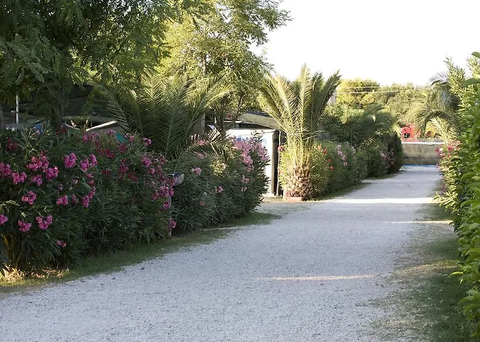 Hotel sulla spiaggia: Camping Village Corrado