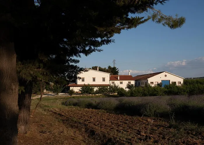 Hotel sulla spiaggia: Casetta Don Carlino